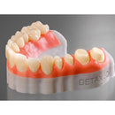 3D PRINTING RESIN FREEPRINT GINGIVA