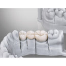 3D PRINTING RESIN FREEPRINT TEMP 385nm