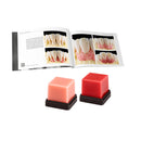 GEO EXPERT GINGIVA WAX RENFERT