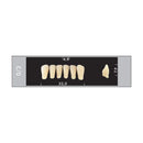 TOOTH CARD SUPERLUX MAJOR LOWER ANTERIOR C1-C4