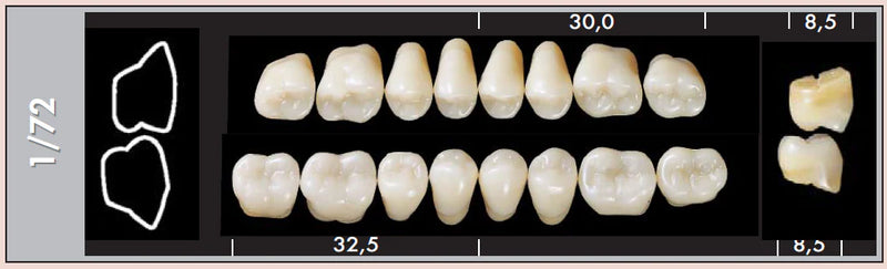 TOOTH CARD SUPERLUX MAJOR UPPER POSTERIOR D2-D4