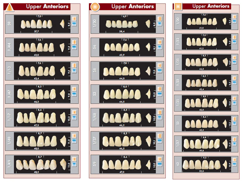 TOOTH CARD SUPERLUX MAJOR UPPER ANTERIOR A1-A3