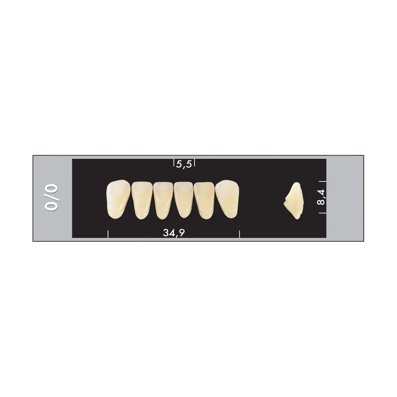 TOOTH CARD SUPERLUX MAJOR LOWER ANTERIOR C1-C4