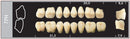 TOOTH CARD SUPERLUX MAJOR UPPER POSTERIOR D2-D4