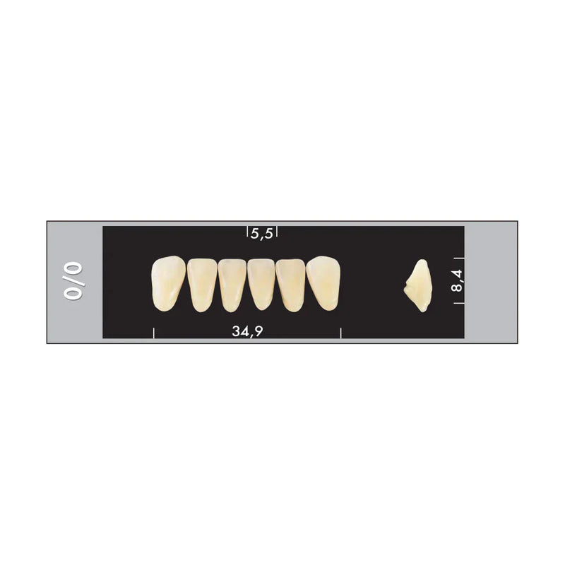 TOOTH CARD SUPERLUX MAJOR LOWER ANTERIOR C1-C4
