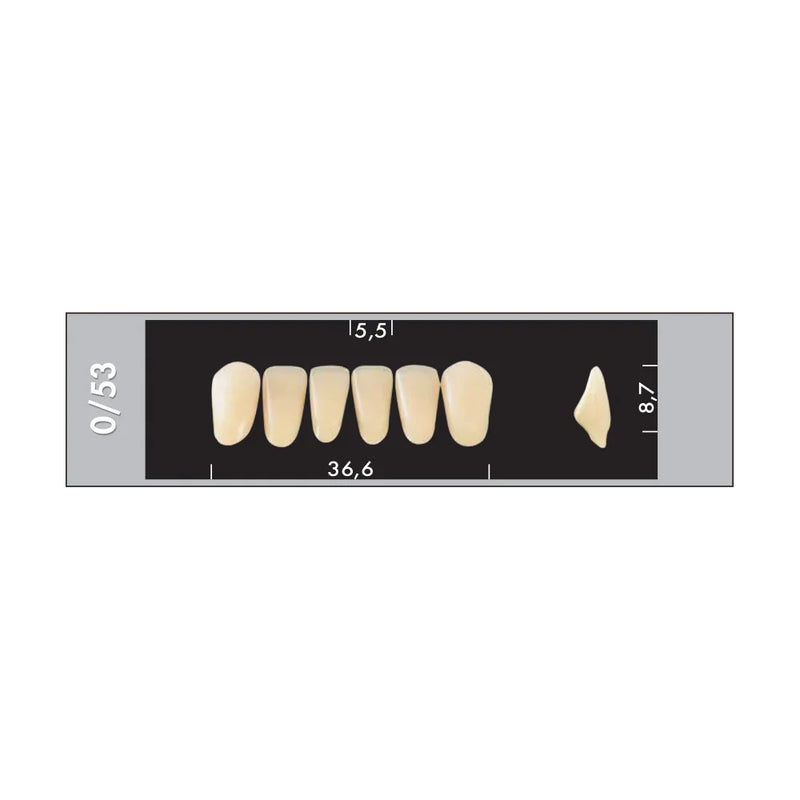 TOOTH CARD SUPERLUX MAJOR LOWER ANTERIOR C1-C4