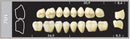 TOOTH CARD SUPERLUX MAJOR UPPER POSTERIOR D2-D4