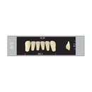 TOOTH CARD SUPERLUX MAJOR LOWER ANTERIOR C1-C4