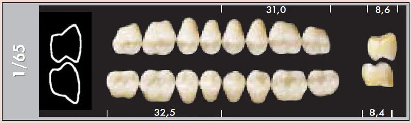 TOOTH CARD SUPERLUX MAJOR UPPER POSTERIOR D2-D4