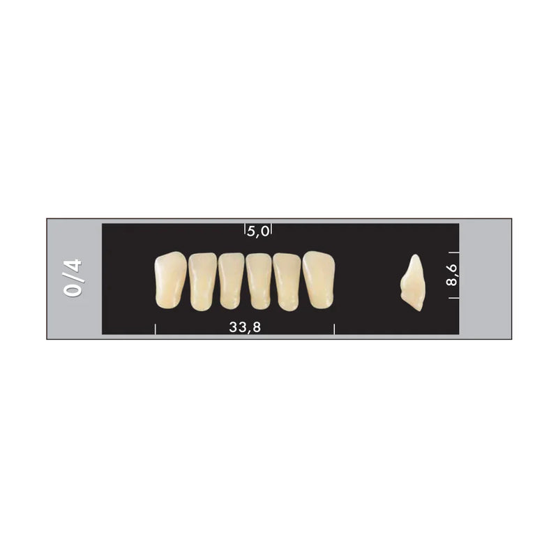 TOOTH CARD SUPERLUX MAJOR LOWER ANTERIOR C1-C4