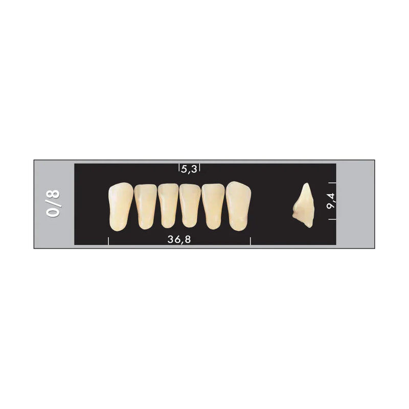 TOOTH CARD SUPERLUX MAJOR LOWER ANTERIOR C1-C4