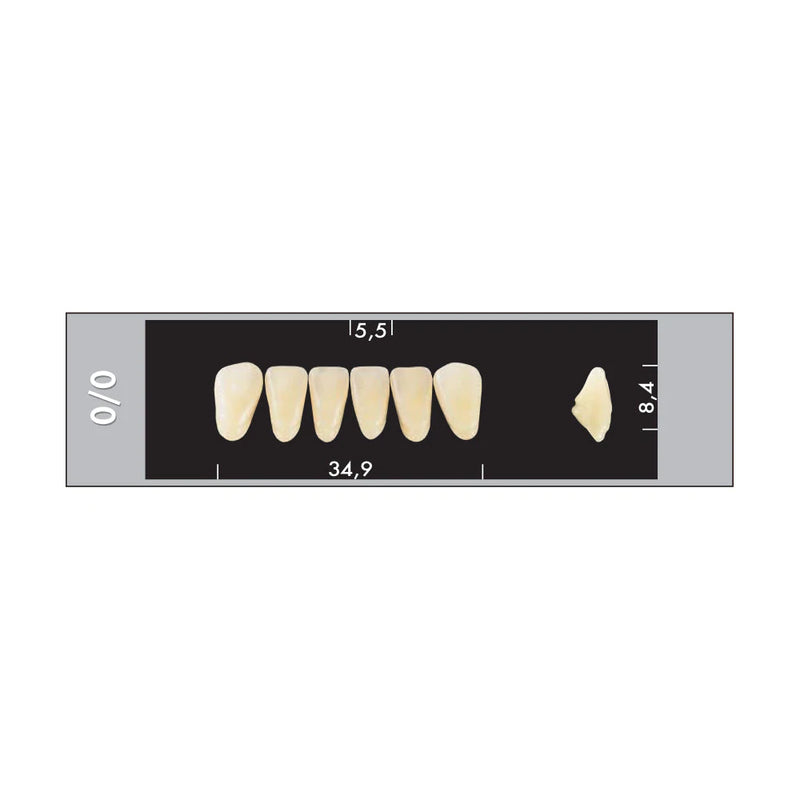 TOOTH CARD SUPERLUX MAJOR LOWER ANTERIOR C1-C4