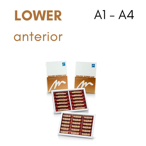 TOOTH CARD SUPERLUX MAJOR LOWER ANTERIOR A1-A4