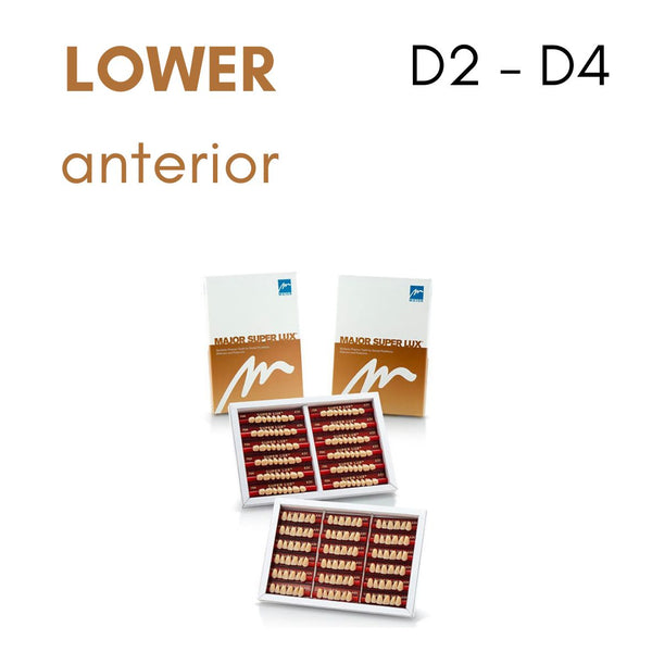 TOOTH CARD SUPERLUX MAJOR LOWER ANTERIOR D2-D4