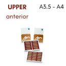 TOOTH CARD SUPERLUX MAJOR UPPER ANTERIOR A3.5-A4