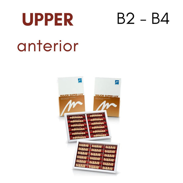 TOOTH CARD SUPERLUX MAJOR UPPER ANTERIOR B2-B4