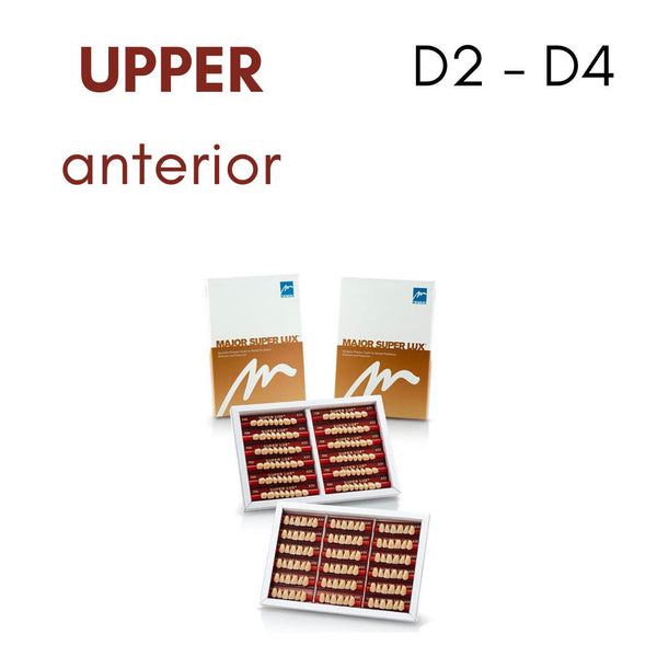 TOOTH CARD SUPERLUX MAJOR UPPER ANTERIOR D2-D4