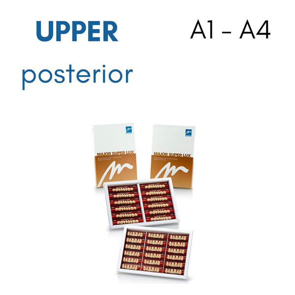 TOOTH CARD SUPERLUX MAJOR UPPER POSTERIOR A1-A4