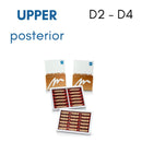 TOOTH CARD SUPERLUX MAJOR UPPER POSTERIOR D2-D4