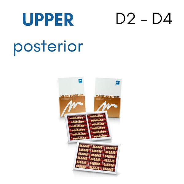 TOOTH CARD SUPERLUX MAJOR UPPER POSTERIOR D2-D4