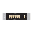 TOOTH CARD SUPERLUX MAJOR LOWER ANTERIOR C1-C4