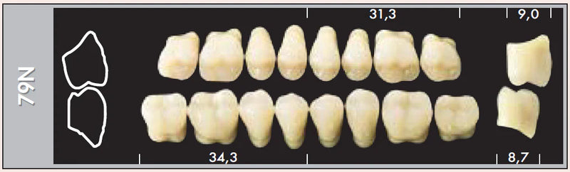 TOOTH CARD SUPERLUX MAJOR LOWER POSTERIOR D2-D4