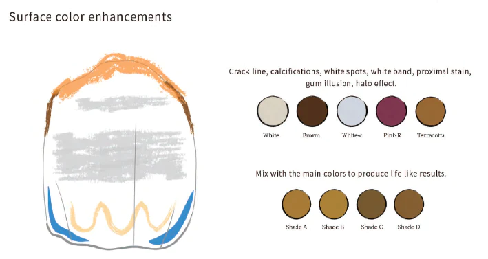 BIOMIC STAIN AND GLAZE AIDITE