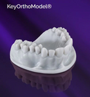 3D PRINTING RESIN KEYORTHO MODEL 385nm-405nm 1kg