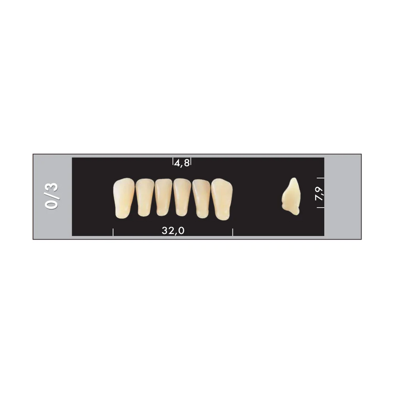 TOOTH CARD SUPERLUX MAJOR LOWER ANTERIOR B2-B4