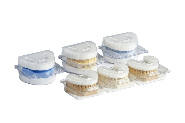 CONTAINER BOXES FOR PLASTER MODELS