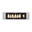 TOOTH CARD SUPERLUX MAJOR UPPER ANTERIOR A3.5-A4