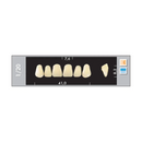 TOOTH CARD SUPERLUX MAJOR UPPER ANTERIOR A3.5-A4