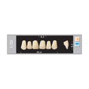 TOOTH CARD SUPERLUX MAJOR UPPER ANTERIOR A1-A3