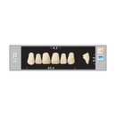 TOOTH CARD SUPERLUX MAJOR UPPER ANTERIOR A3.5-A4