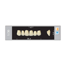 TOOTH CARD SUPERLUX MAJOR UPPER ANTERIOR A3.5-A4