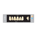 TOOTH CARD SUPERLUX MAJOR UPPER ANTERIOR A3.5-A4