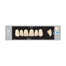TOOTH CARD SUPERLUX MAJOR UPPER ANTERIOR A1-A3