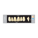 TOOTH CARD SUPERLUX MAJOR UPPER ANTERIOR A3.5-A4
