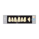 TOOTH CARD SUPERLUX MAJOR UPPER ANTERIOR A1-A3