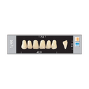 TOOTH CARD SUPERLUX MAJOR UPPER ANTERIOR A1-A3