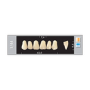 TOOTH CARD SUPERLUX MAJOR UPPER ANTERIOR A3.5-A4