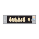 TOOTH CARD SUPERLUX MAJOR UPPER ANTERIOR B2-B4
