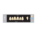 TOOTH CARD SUPERLUX MAJOR UPPER ANTERIOR D2-D4