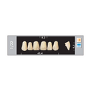 TOOTH CARD SUPERLUX MAJOR UPPER ANTERIOR D2-D4