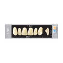 TOOTH CARD SUPERLUX MAJOR UPPER ANTERIOR B2-B4