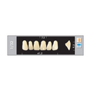 TOOTH CARD SUPERLUX MAJOR UPPER ANTERIOR B2-B4