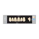 TOOTH CARD SUPERLUX MAJOR UPPER ANTERIOR C1-C4
