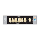 TOOTH CARD SUPERLUX MAJOR UPPER ANTERIOR C1-C4