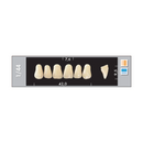TOOTH CARD SUPERLUX MAJOR UPPER ANTERIOR A1-A3