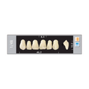 TOOTH CARD SUPERLUX MAJOR UPPER ANTERIOR A1-A3